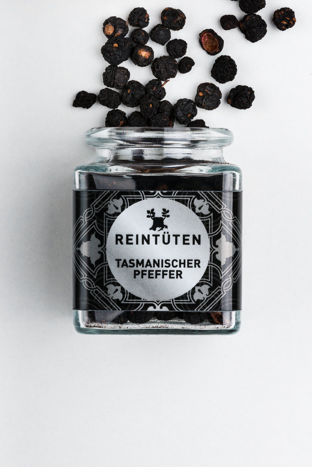 Tasmanischer Pfeffer